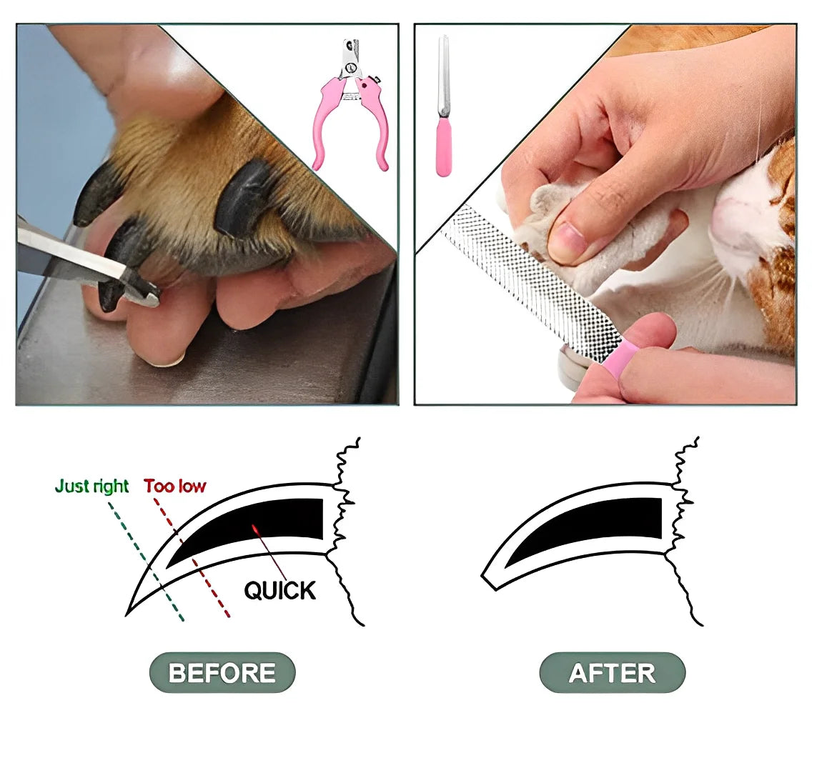 Máquina de Tosa Profissional para Cães — Elétrica, Silenciosa, Lâmina de Aço Inox