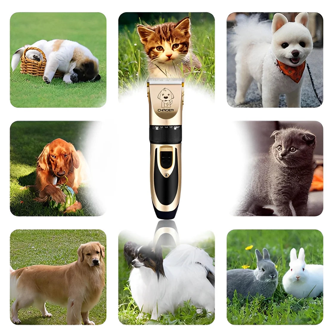 Máquina de Tosa Profissional para Cães — Elétrica, Silenciosa, Lâmina de Aço Inox