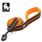 Guia Truelove Refletiva para Cães e Gatos — Nylon Macio, 110cm, 11 Cores TLL2111