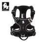 Peitoral Truelove Fashion para Cães — Nylon Refletivo, Acolchoado, Vest de Treino