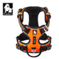 Peitoral Truelove Fashion para Cães — Nylon Refletivo, Acolchoado, Vest de Treino