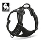 Peitoral Truelove Fashion para Cães — Nylon Refletivo, Acolchoado, Vest de Treino