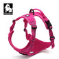 Peitoral Truelove Fashion para Cães — Nylon Refletivo, Acolchoado, Vest de Treino