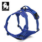 Peitoral Truelove Fashion para Cães — Nylon Refletivo, Acolchoado, Vest de Treino