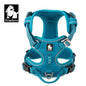Peitoral Truelove Fashion para Cães — Nylon Refletivo, Acolchoado, Vest de Treino