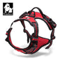 Peitoral Truelove Fashion para Cães — Nylon Refletivo, Acolchoado, Vest de Treino